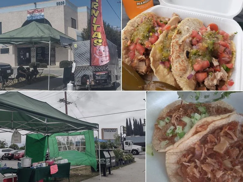 Carnitas LA DIVINA' business photo