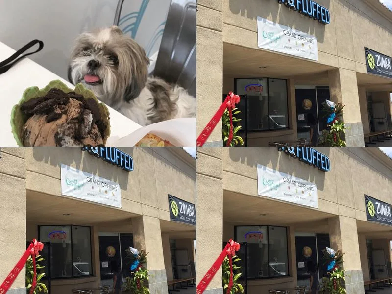 Crispy & Fluffed Ice Cream business photo