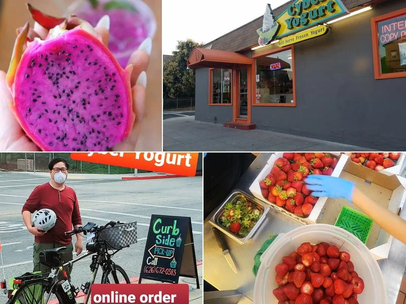 Cyber Yogurt business photo