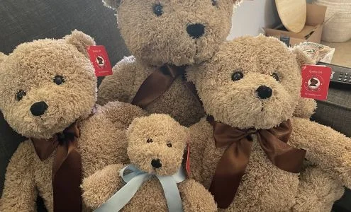 MS TEDDY BEAR INC business photo