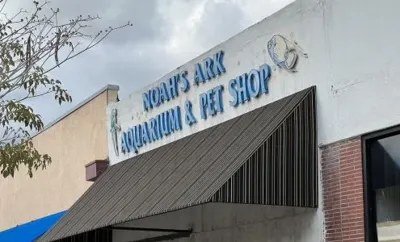 Noah's Ark, business photo 1