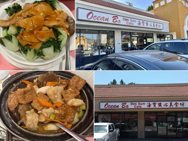 Ocean Bo Dim Sum Cafe business photo