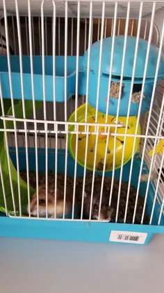 Pet Shop JC Gomez, business photo 3