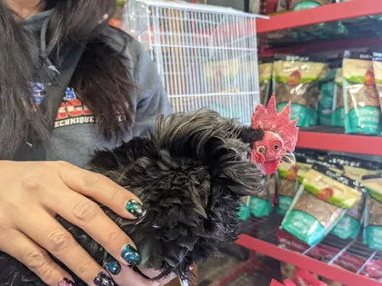 Wes's Pets & Feeds, business photo 2